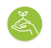 Plant icon